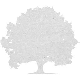 tree 22 icon