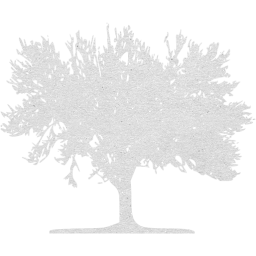 tree 59 icon