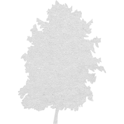 tree 73 icon