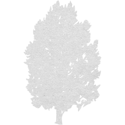 tree 76 icon