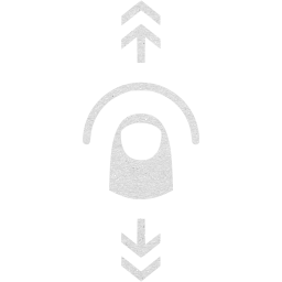 vertical flick icon