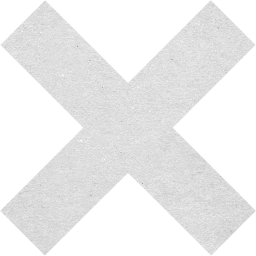 x mark icon