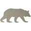 bear 5