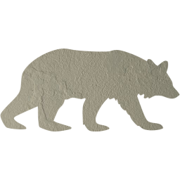 bear 5 icon