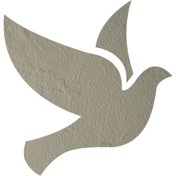 bird 2 icon