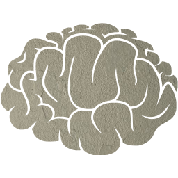 brain 2 icon