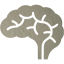 brain