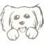 dog 5