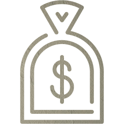dollar icon