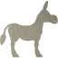 donkey