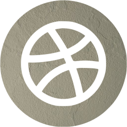 dribbble 4 icon