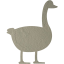 duck 2