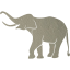 elephant 6