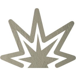 explosion icon