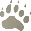 footprints bear