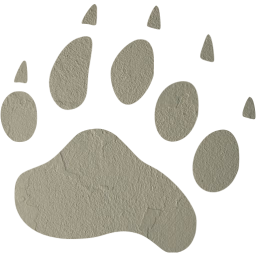 footprints bear icon