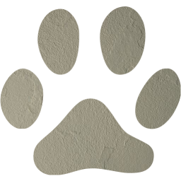 footprints cat icon