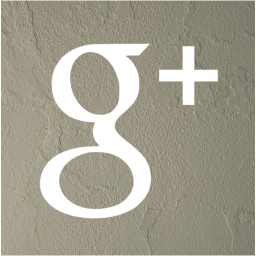 google plus 2 icon