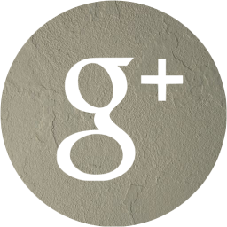 google plus 4 icon