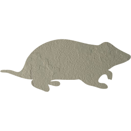 hamster icon
