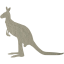 kangaroo 4