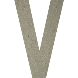 letter v icon