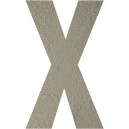 letter x icon