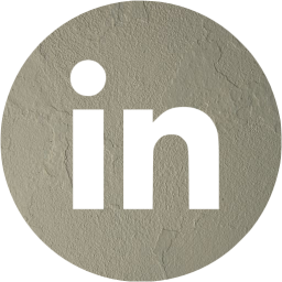 linkedin 4 icon