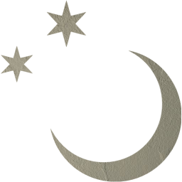 moon icon