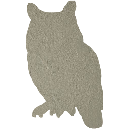 owl icon