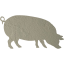 pig 4