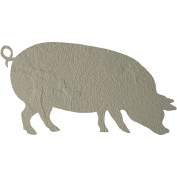 pig 4 icon