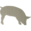 pig 7