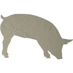 pig 7 icon