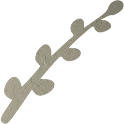 pussy willow icon