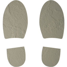 shoes footprints icon