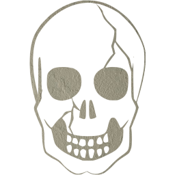 skull 37 icon