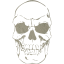 skull 41