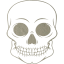 skull 55