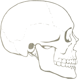 skull 62 icon