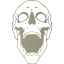 skull 65