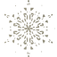 snowflake 24