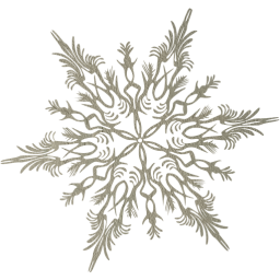 snowflake 41 icon