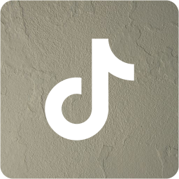 tiktok 2 icon