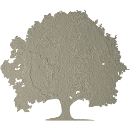 tree 22 icon