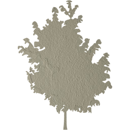 tree 25 icon