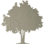 tree 32