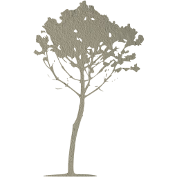 tree 34 icon