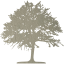 tree 46