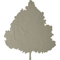 tree 47 icon